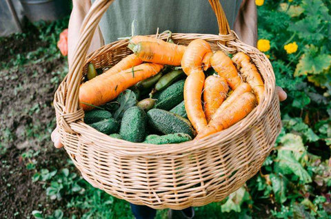 Recipe: Carrot Top Pesto